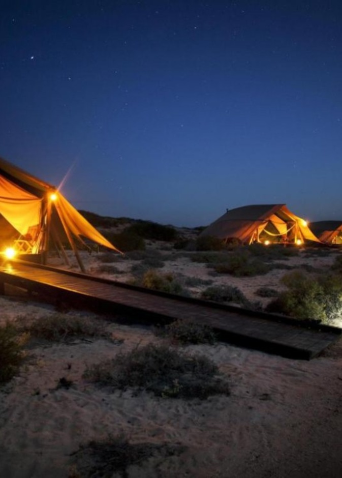 الدفاع المدني