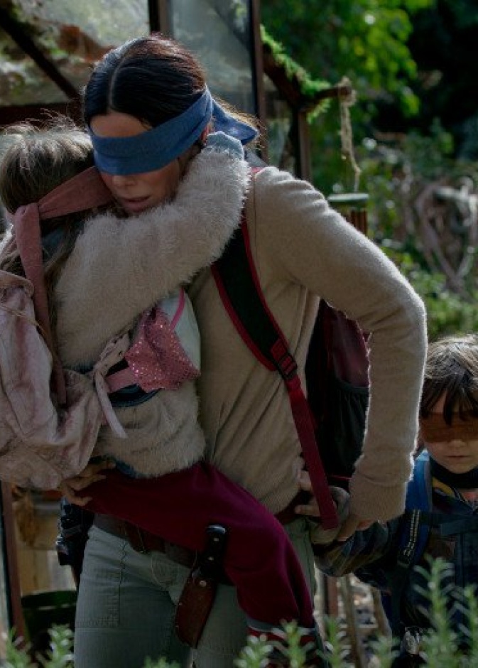 bird box