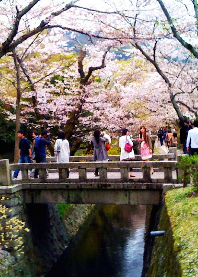 الجناح الذهبي