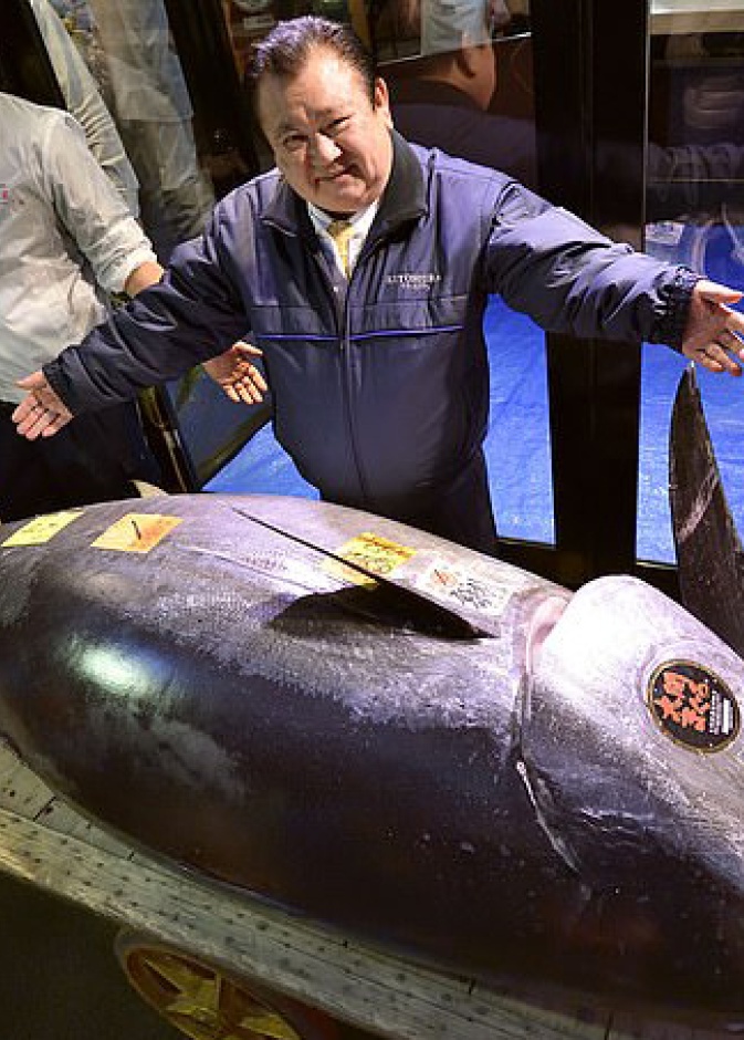 ارتفاع سعر الكيلوغرام لأسماك التونة