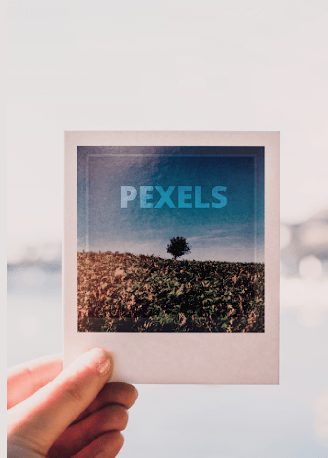 Pexels..تطبيق مميز لأخذ الصور الفوتوغرافية و مشاركتها بدون حقوق ملكية