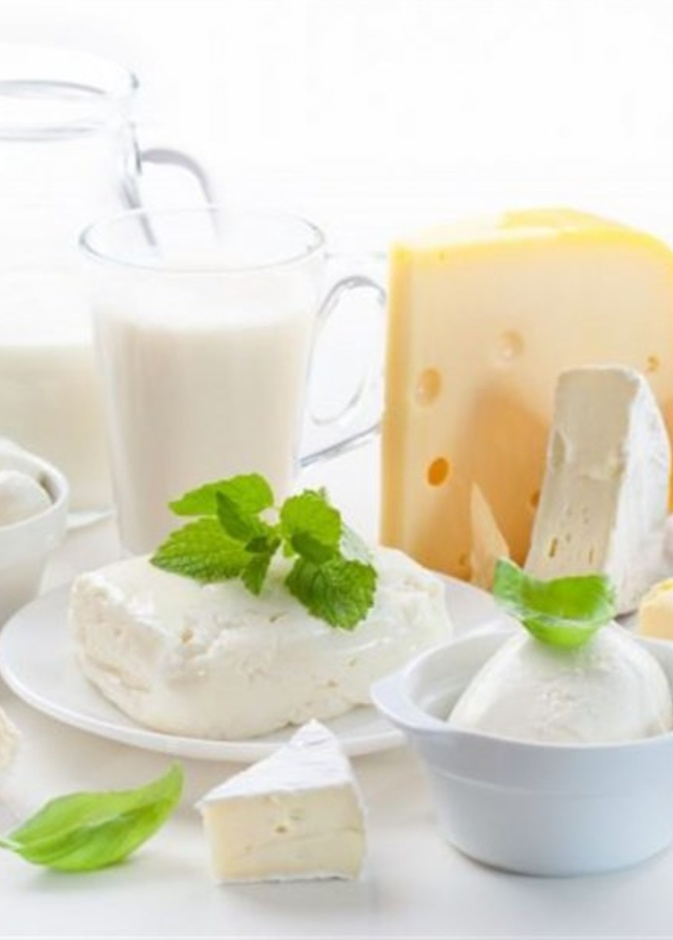فوائد وأضرار الألبان والأجبان أثناء الرجيم