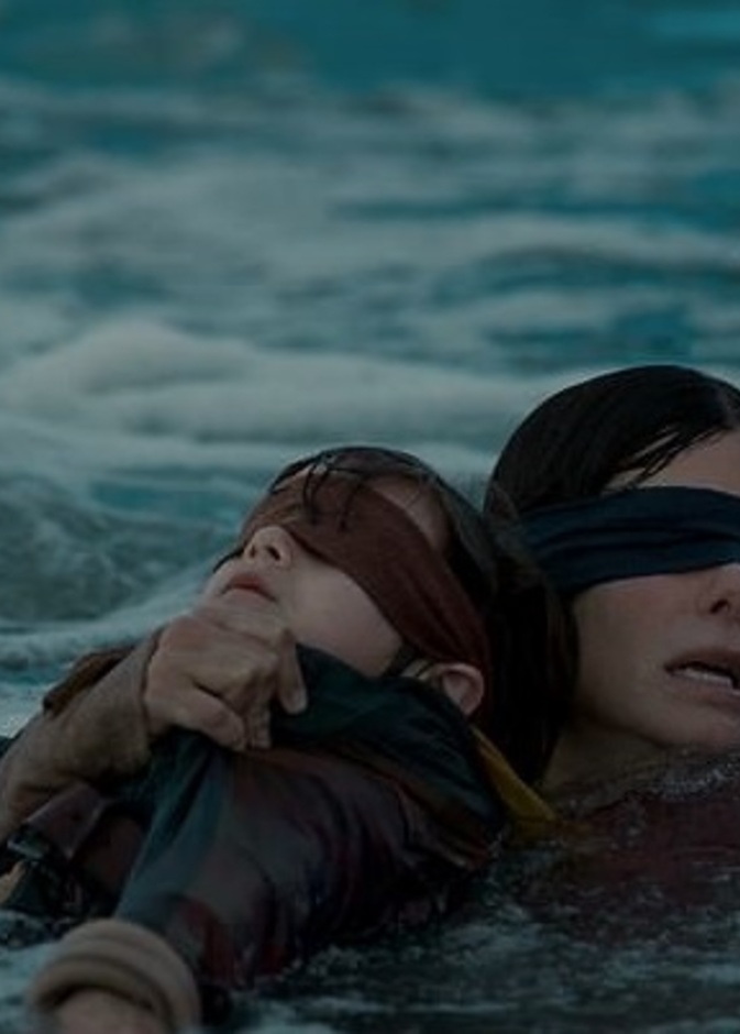 الكشف عن المشهد المرعب المحذوف من فيلم Bird Box..صور