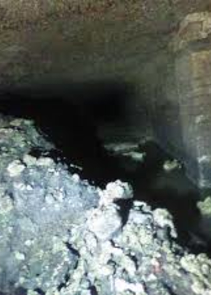  العثور على وحش دهني هائل في مياه الصرف