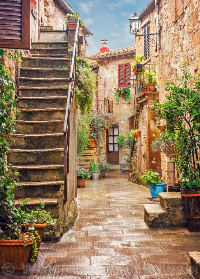 منطقة البلدة القديمة Old Town