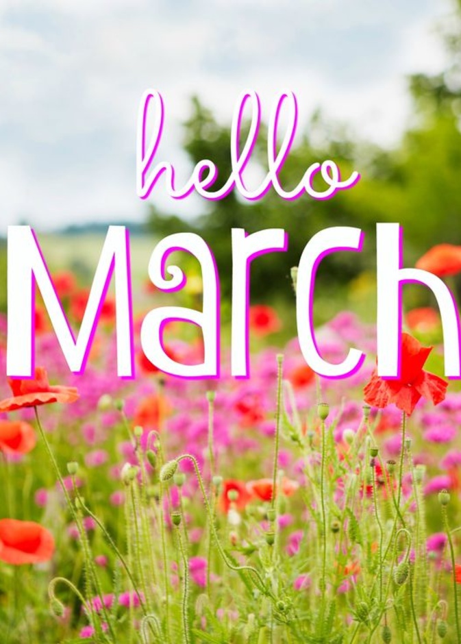 توقّعات الأبراج لشهر مارس 2019