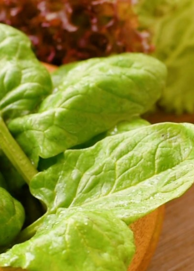 فوائد أوراق السلق لانقاص الوزن