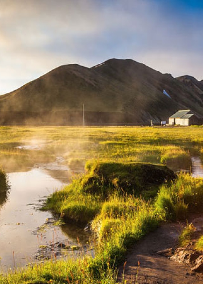 العربات التي تجرها الكلاب