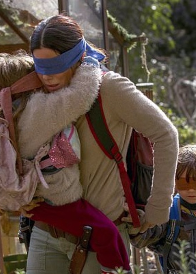 bird box