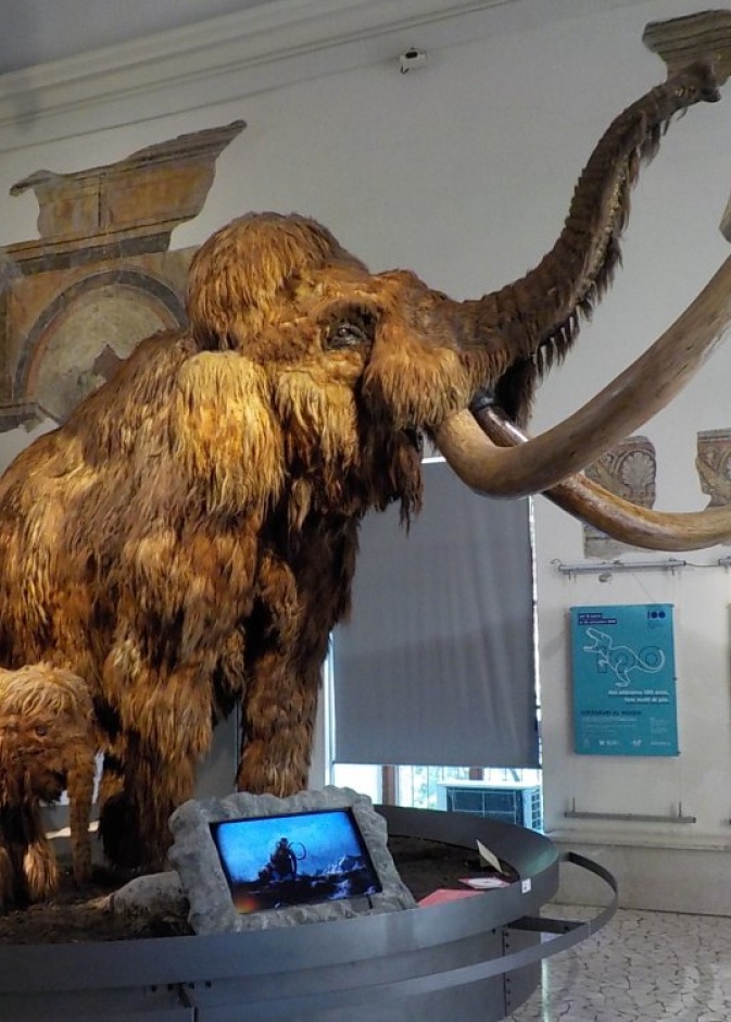 تل ماريسانا Maresana Hill