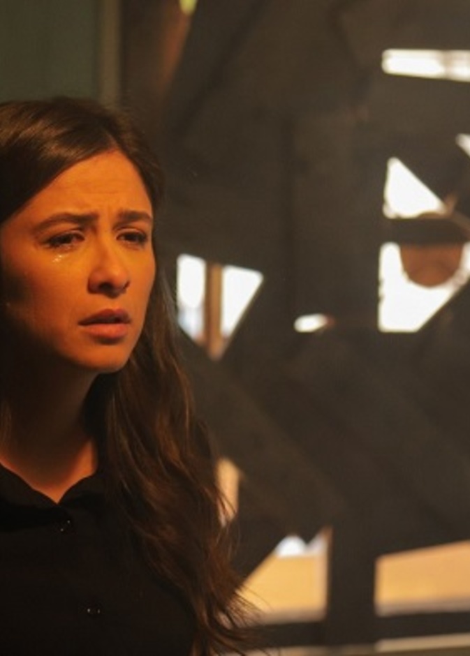 ياسمين عبد العزيز 