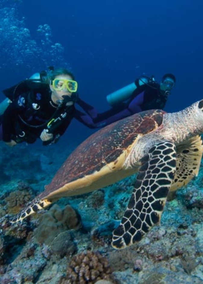 اجمل الجزر في العالم لقضاء شهر العسل - سانت لوسيا