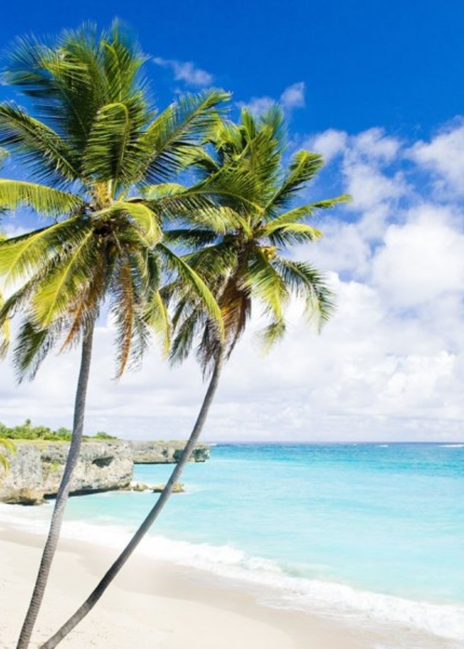  باربادوس وجهة شهر العسل المختارة للاميرة آن بصحبة عريسها مارك فيليبس