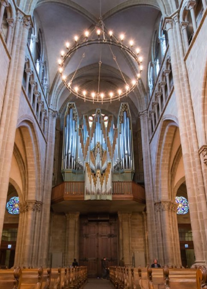 قلعة الديل Palais de l'Isle castle