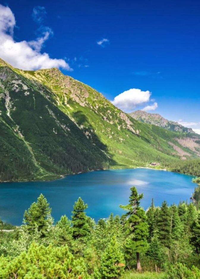 القصر الملكي Royal Castle