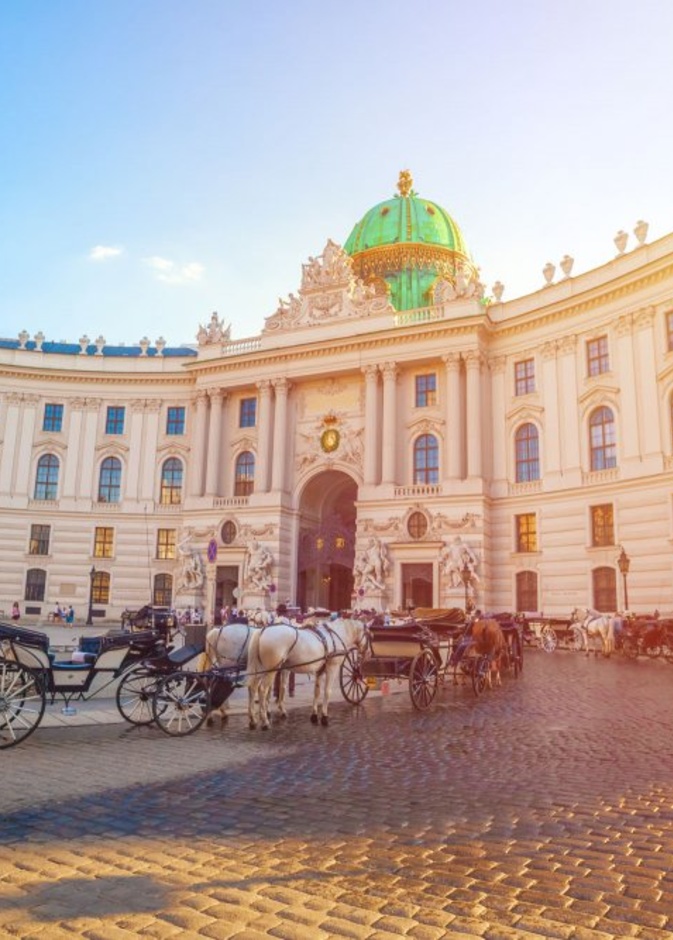 عربات الخيول وسط المدينة 