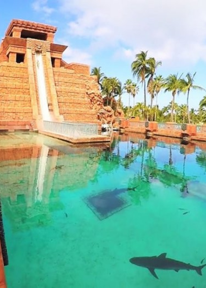 الفنادق السياحية الكبيرة والفخمة، ومن بين أشهرها على الإطلاق فندق Izmailovo Hotel