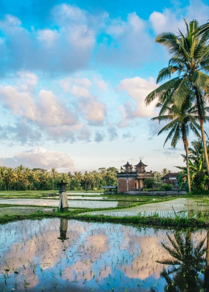 أجمل المعالم الطبيعية التي يمكنك زيارتها في تابانان هي حقول جاتيلويه