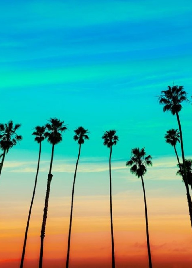 اجازة ممتعة في كاليفورنيا صيفًا