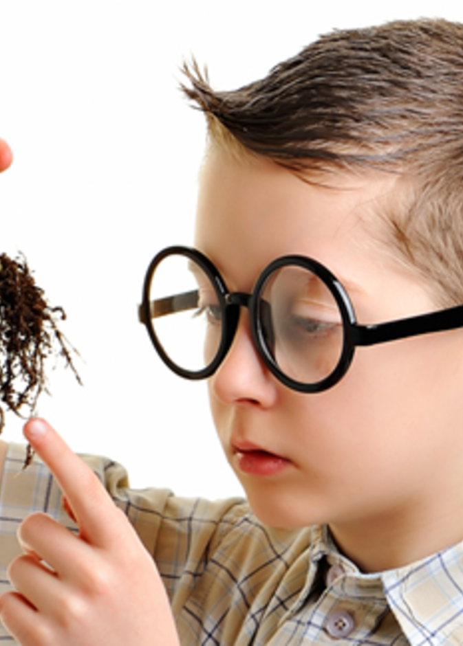 أهم الأطعمة التي تزيد من ذكاء الطفل