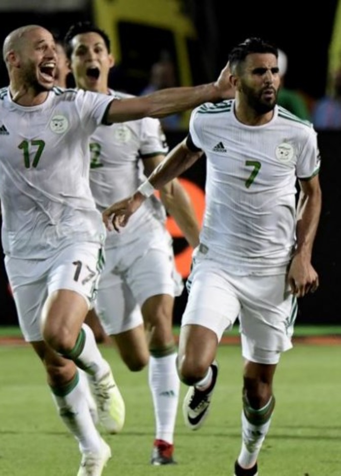 الجزائر تحمل حلم العرب إلى نهائي بطولة الأمم الأفريقية