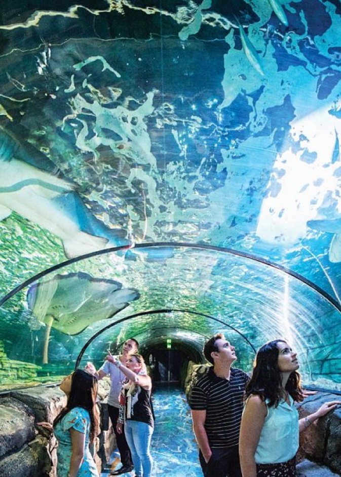  أكواريوم سيدني 