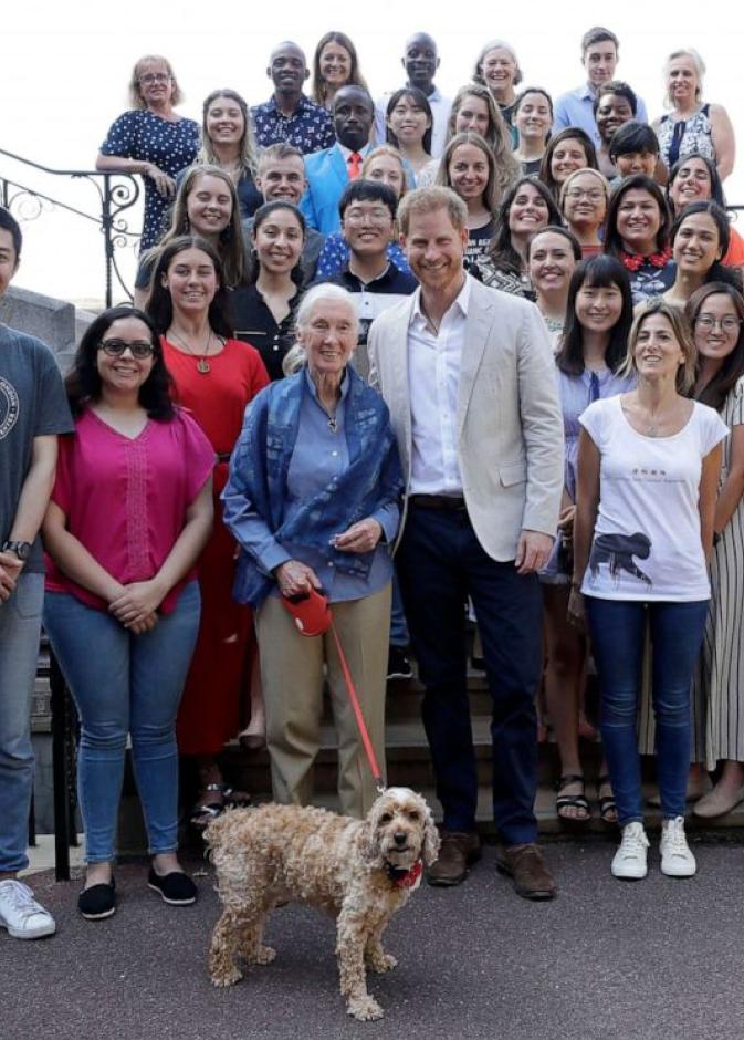 الأمير هاري يقابل د. جاين جودال في قلعة وندسور