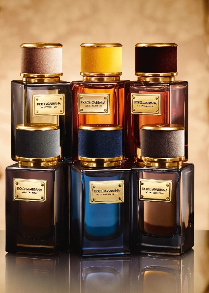 عطر Velvet Oriental Musk إرث شرقي من Dolce & Gabbana