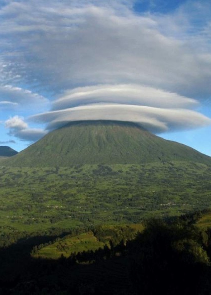 الزيبرا في منطقة نجورونجورو المحمية في تانزانيا