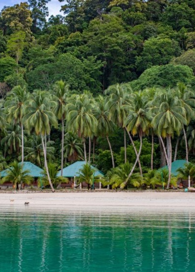 الحياة البحرية في ال نيدو