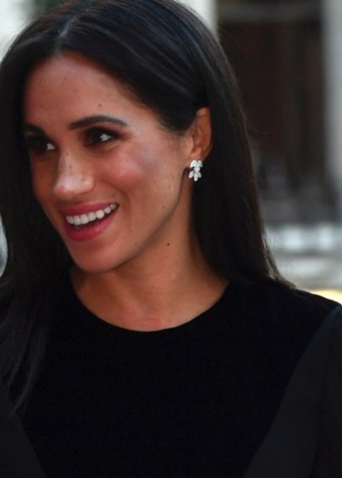 الشائعات التي أصبحت تلاحق ميغان منذ زواجها من الأمير هاري