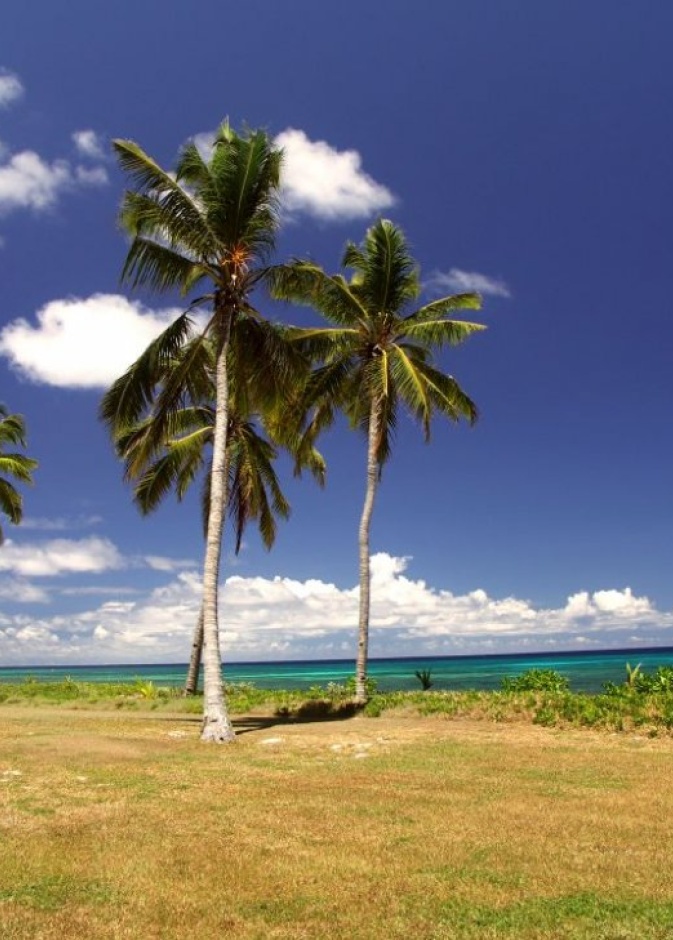  Alimatha Island جزيرة اليماثا المالديف