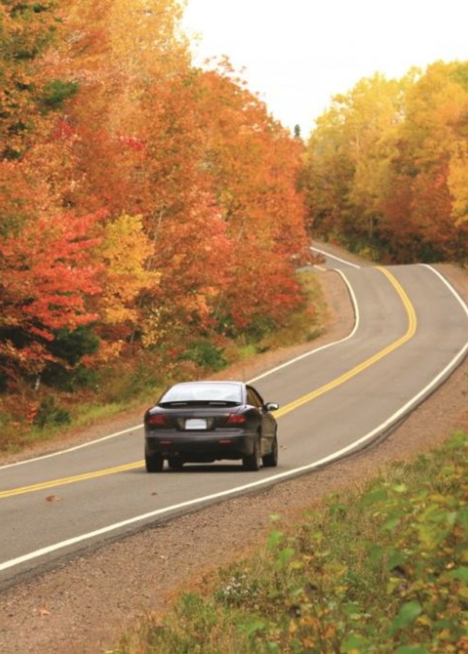  معلومات عن صيانة السيارات في الخريف