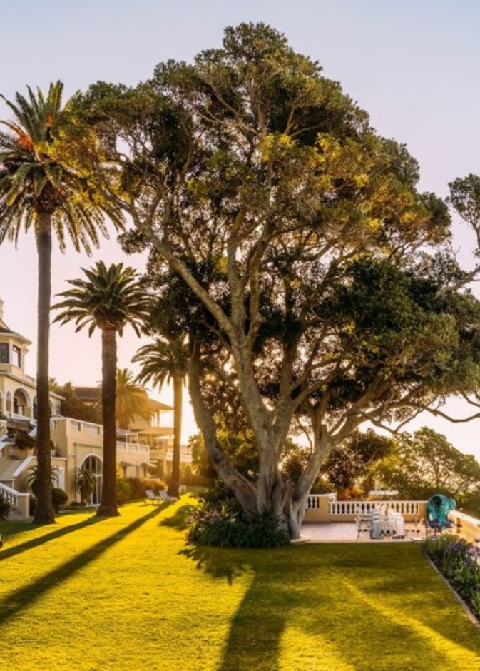 فندق  Cape Grace 