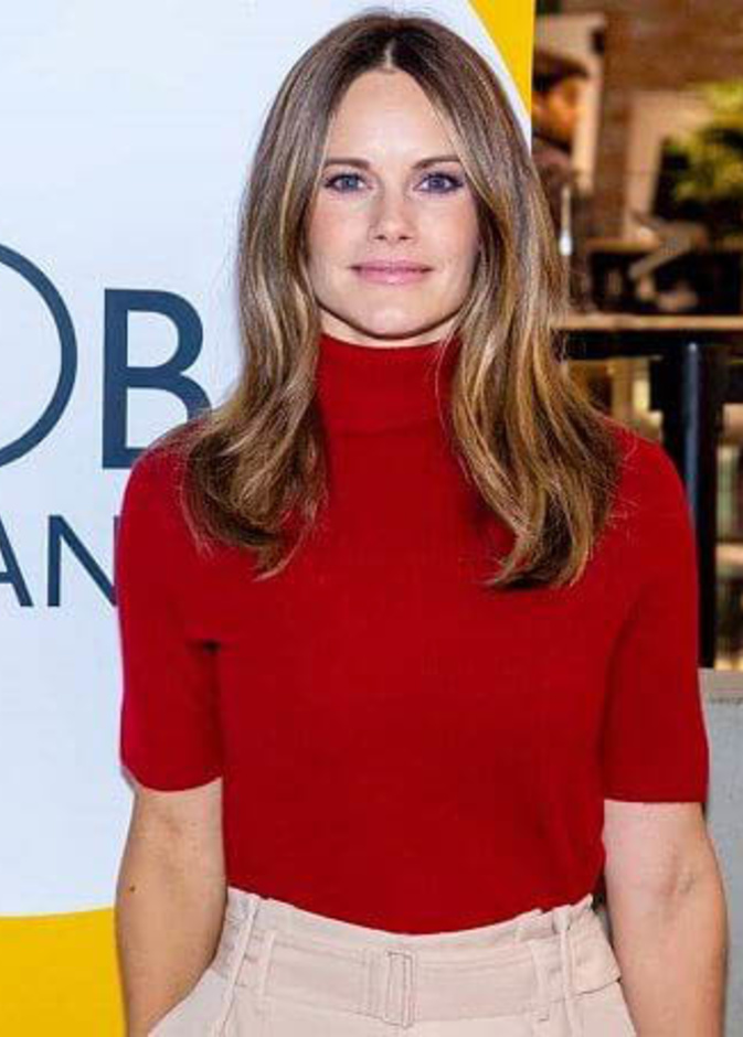 الأميرة صوفيا في اجتماع لسيدات الأعمال