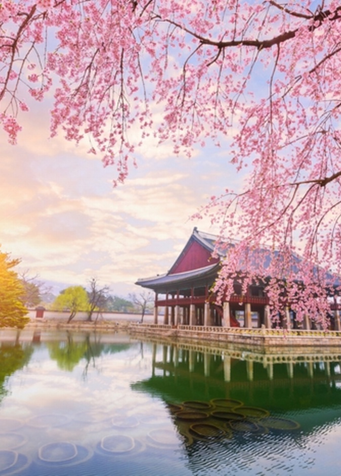 اجواء الربيع الخلابة