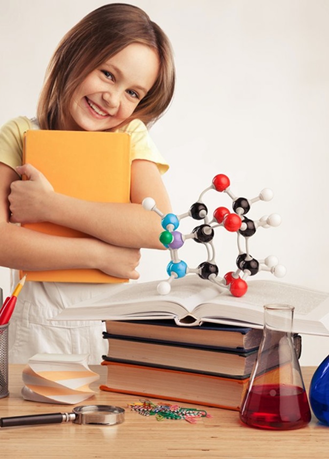 المرحلة التجريبية استدلال وحل المشكلات واستعياب المعناي والأهداف