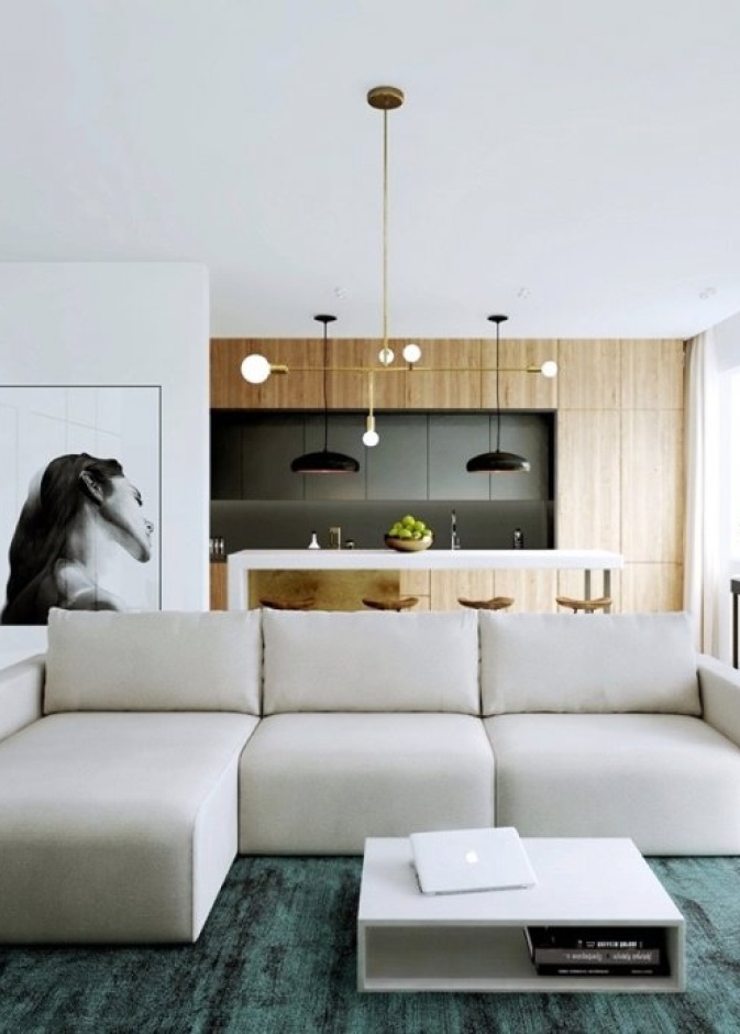 الأبيض مع الخشب في ديكور الشقة الصغيرة