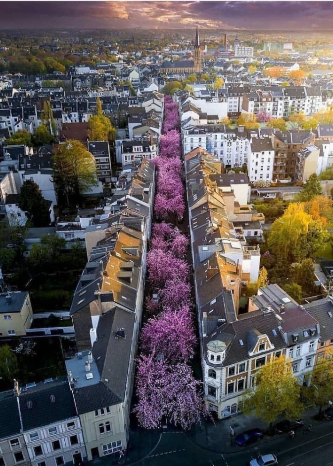 لونلي بلانت يختار دبي ضمن قائمته لأكثر 10 مدن حول العالم يجب زيارتها في 2020