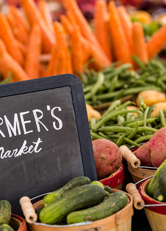 المدينة المستدامة في دبي تطلق النسخة الثانية من "أوريجين" سوق المنتجات الصديقة للبيئة