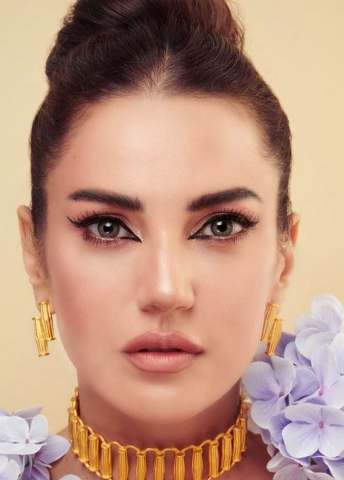 احلام تستخدم الايلانير المسحوب