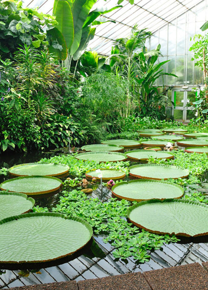 حدائق ساباتيني