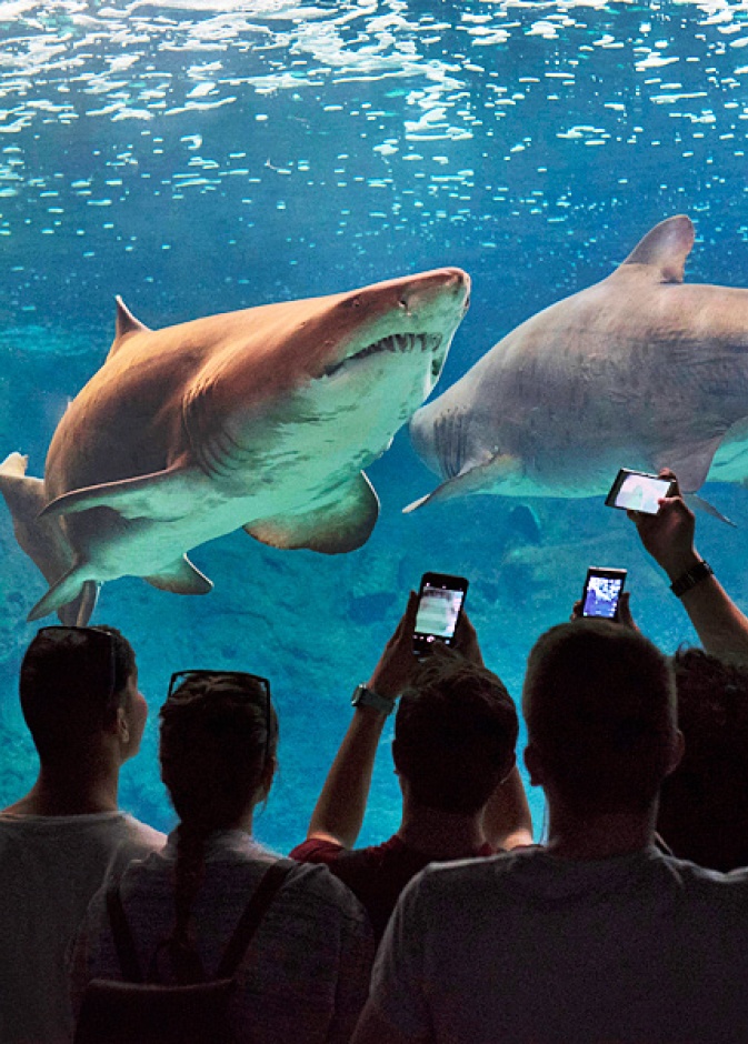 CretAquarium من أكبر أحواض الأسماك في أوروبا