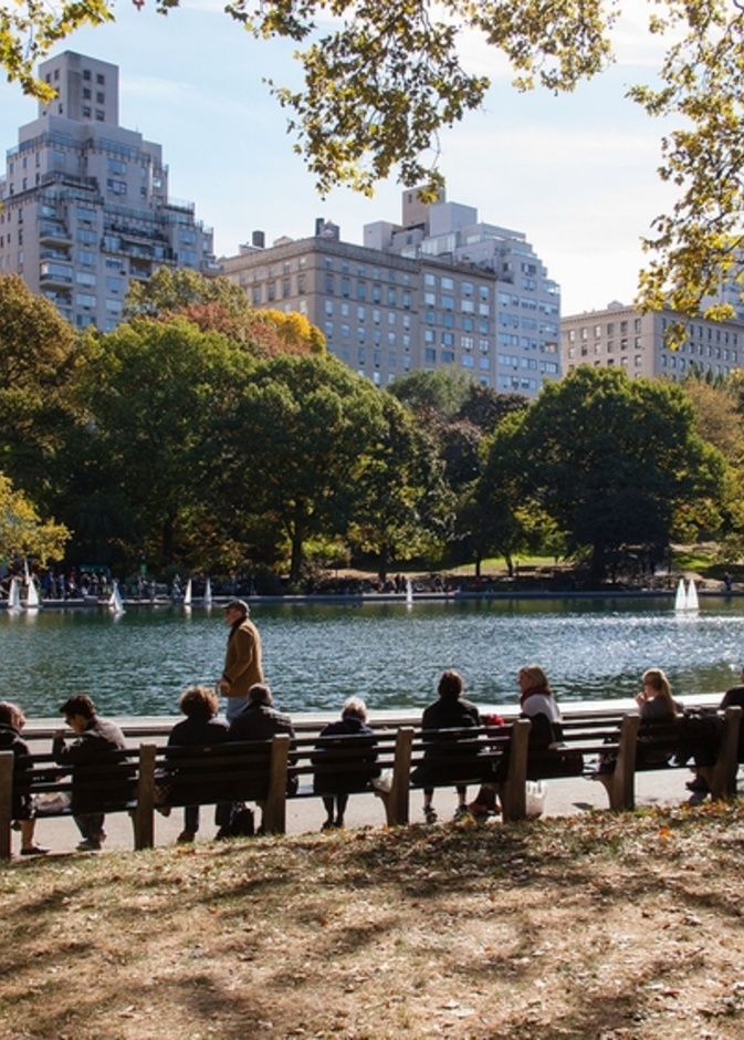 استمتع بالوجهات المجانية في نيويورك