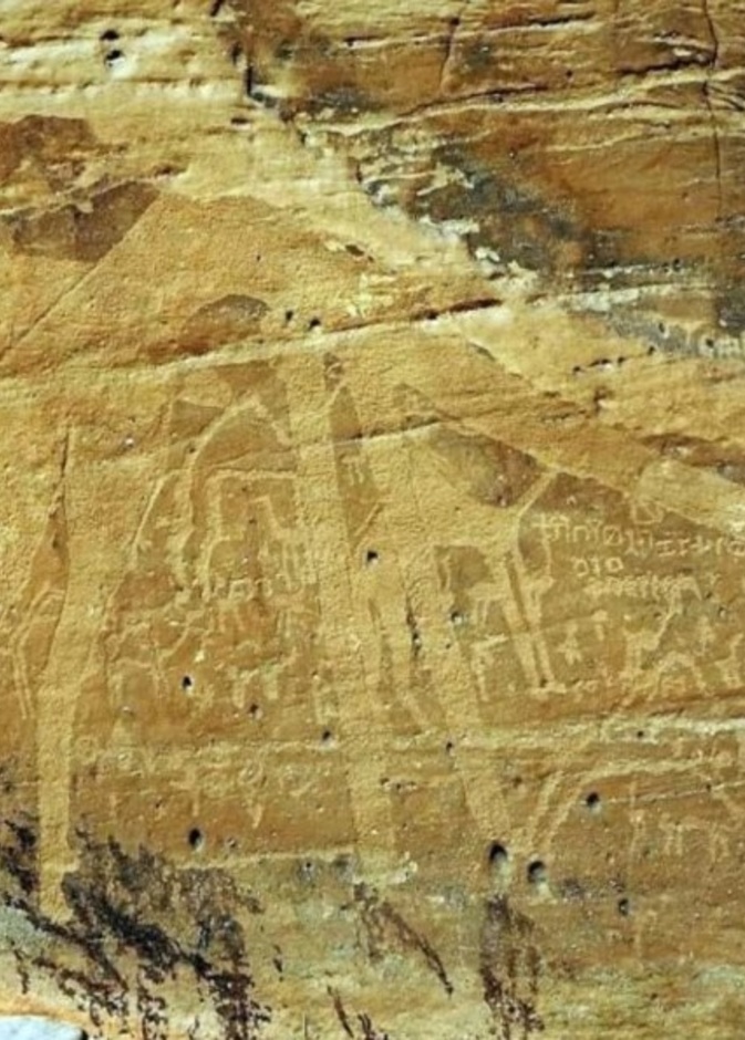 اكتشاف موقع أثري في حائل يعود إلى الألف الأول قبل الميلاد