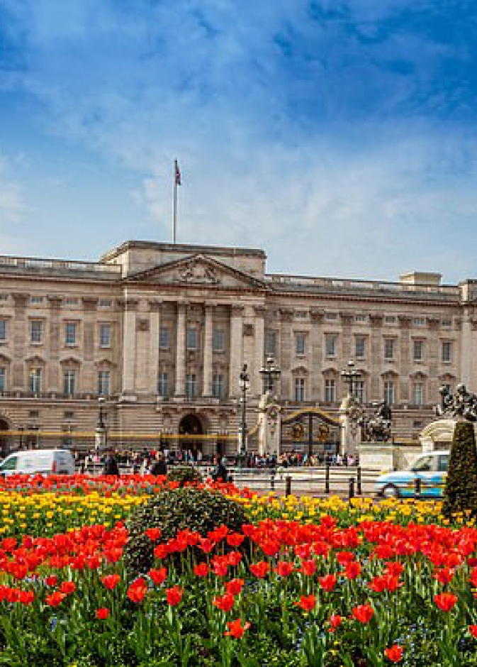 قصر باكنغهام تسكنه الفئران