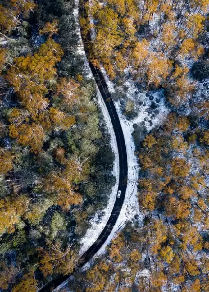  الذهاب في رحلة برية في الثلج تجربة رائعة
