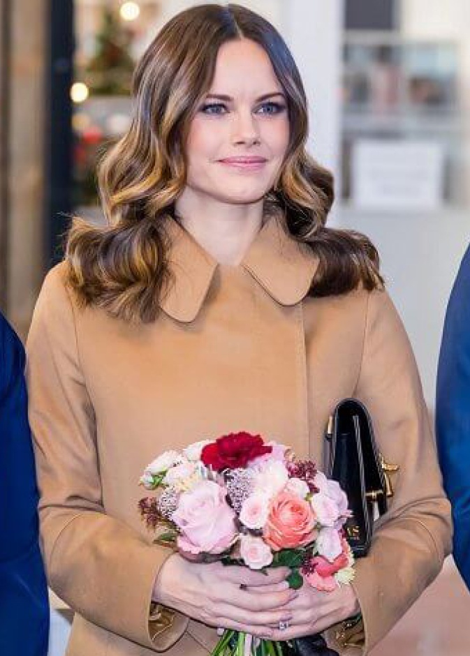 الأميرة صوفيا تفتتح مدرسة جديدة في مقاطعة Alvdalen