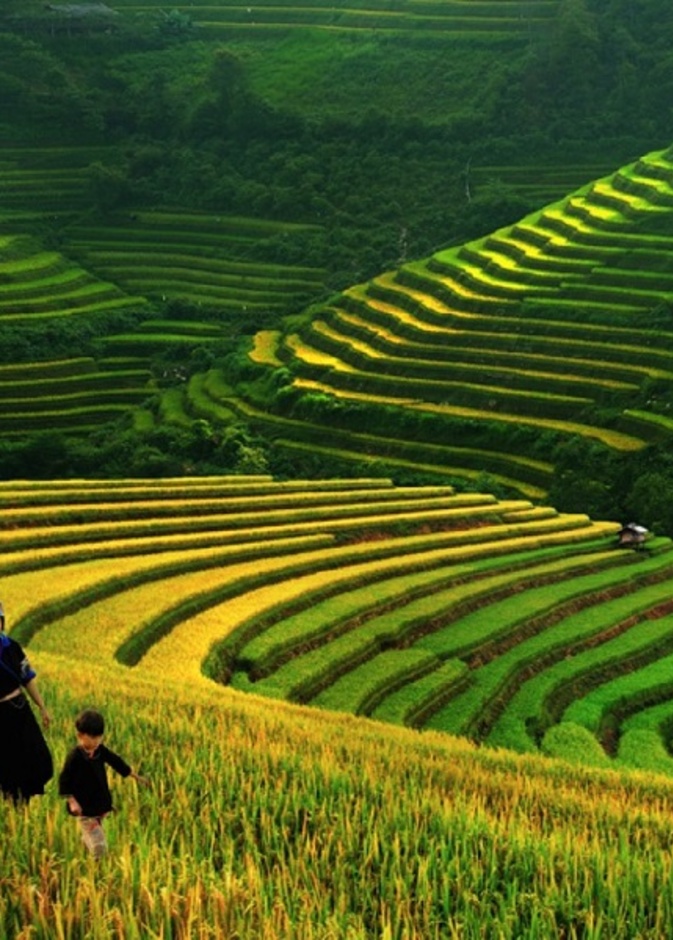 من وادي مونغ هوا