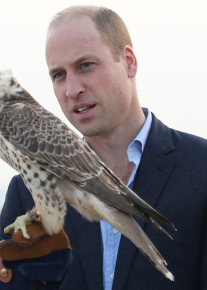 جولة الأمير وليام في الكويت